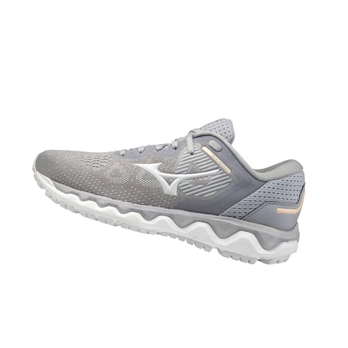 Zapatillas Running Mizuno Wave Horizon 5 Mujer Silver/Blue | 16294-TLKC