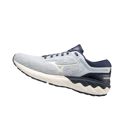 Zapatillas Running Mizuno Wave Skyrise Mujer Navy/White | 85341-TOKF