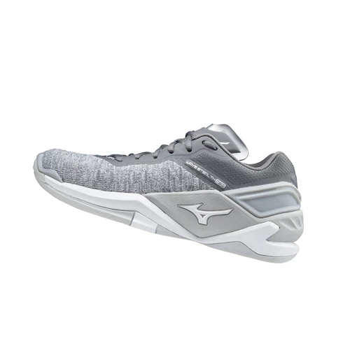 Zapatillas de Balonmano Mizuno Wave Stealth Neo Mujer White/Grey | 73594-ZCMD